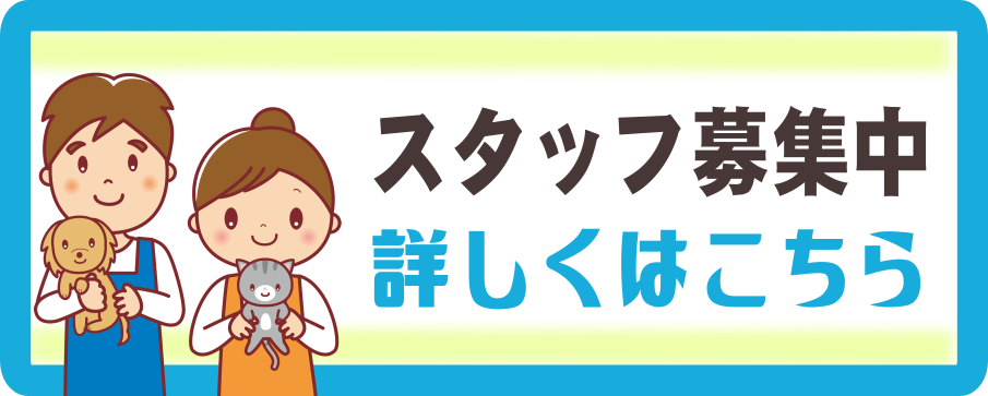 スタッフ募集
